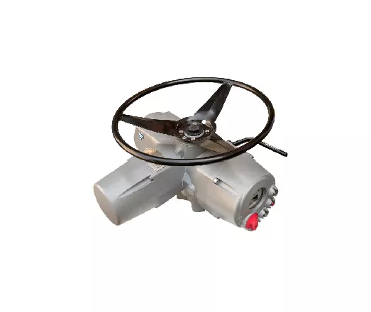 icon3000